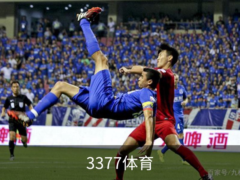 3377体育介绍